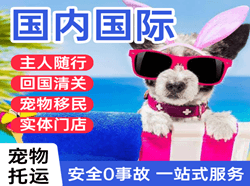 菏泽牡丹航空物流国际宠物托运 【国